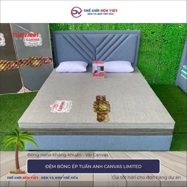 Đệm bông ép Tuấn Anh Canvas Limited 7